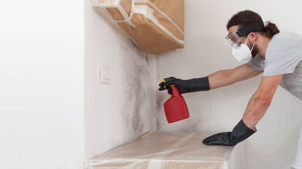 Professional Mold Remediation technician working in Greenville, NC