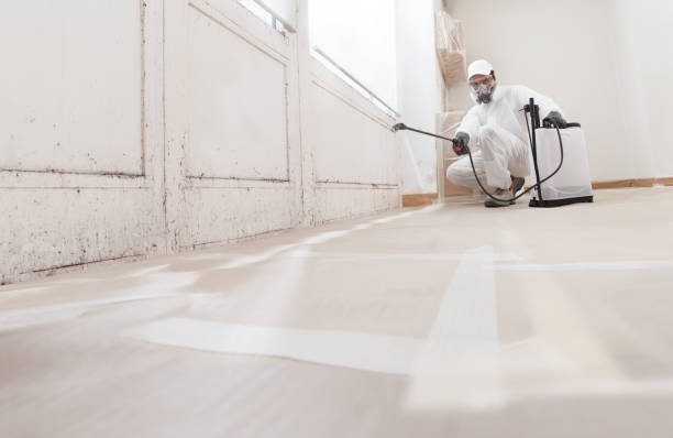 24/7 Emergency Mold Remediation experts in Greenville, NC