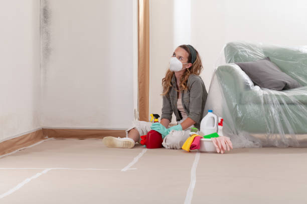 Reliable Mold Remediation contractor in Greenville, NC by Mold Remediation HQ